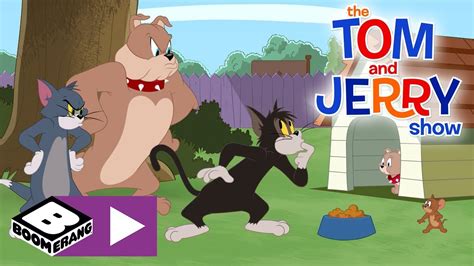 youtube tom og jerry|More.